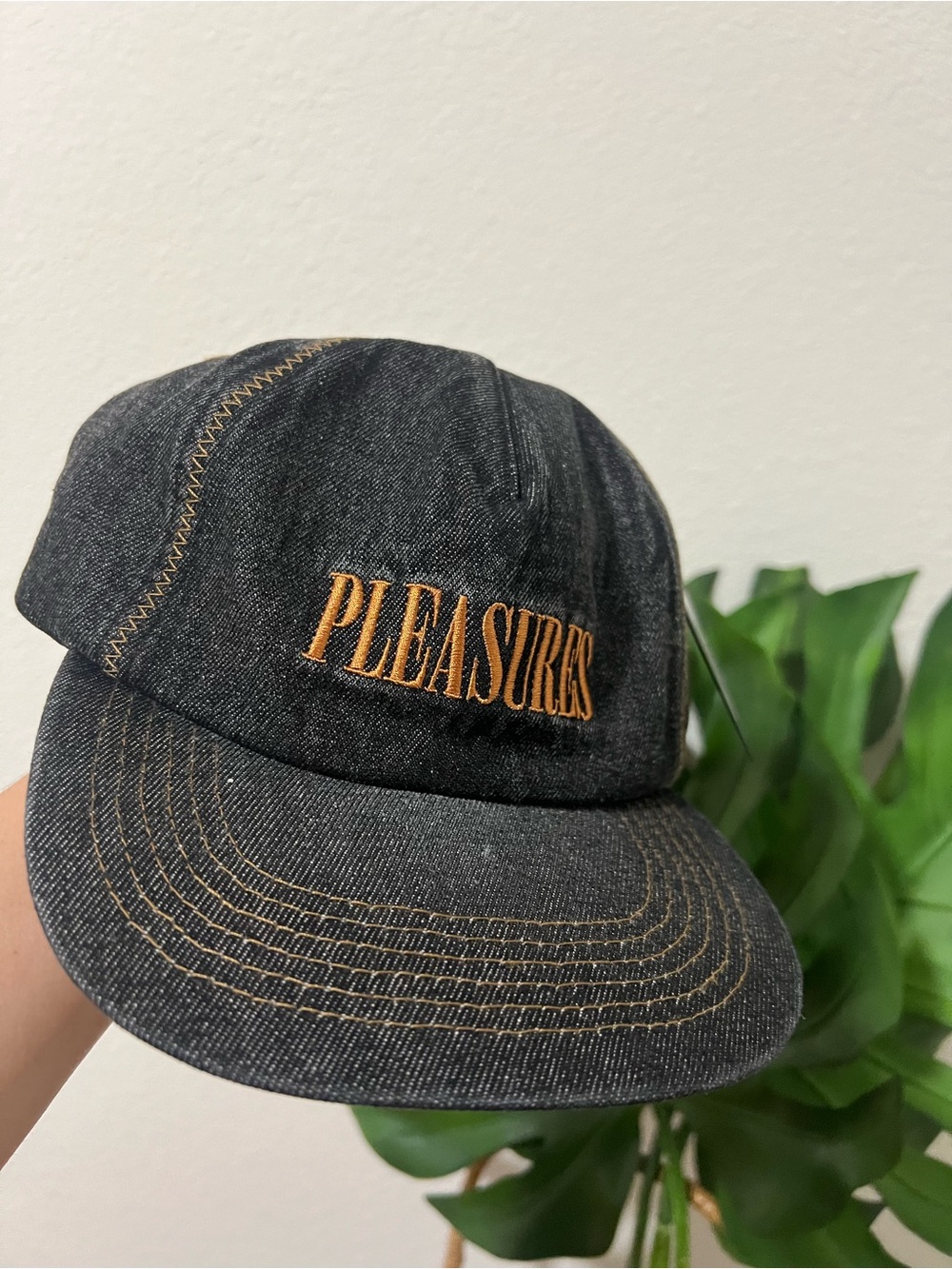 PLEASURES Embroidered Denim Cap - Picture 5 of 5